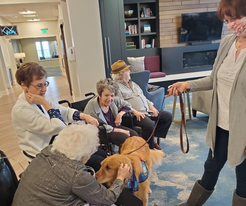 canine companions interaction with seniors