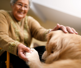Animals bring comfort joy and a sense of belonging to our senior residents.