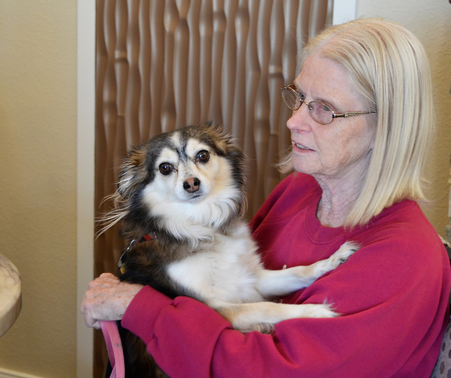 Pet-Friendly Senior Living in Colorado Springs